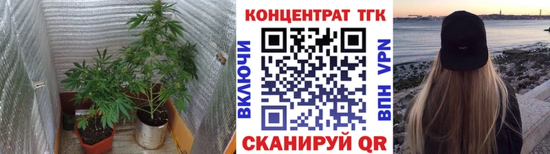 ТГК THC oil  Нерюнгри 