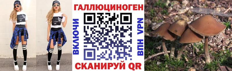 закладки Нерюнгри Галлюциногенные грибы MAGIC MUSHROOMS