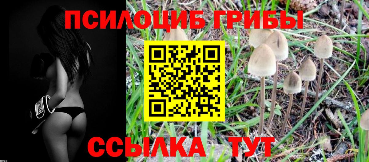 Псилоцибиновые грибы ЛСД Нерюнгри